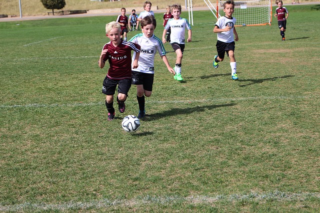 的热爱与执 的热爱与执