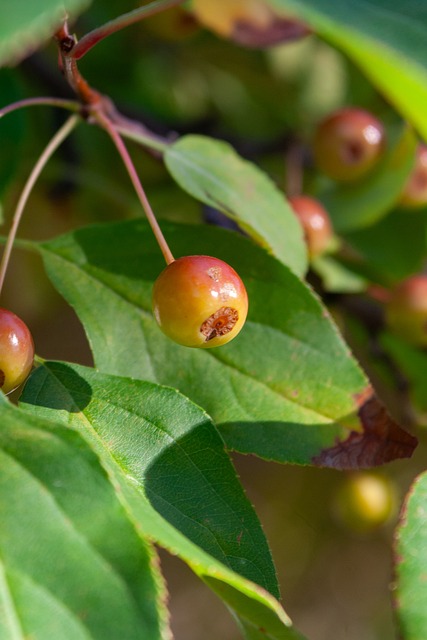 逆境中的冷 逆境中的冷