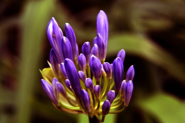 無論是在定 無論是在定