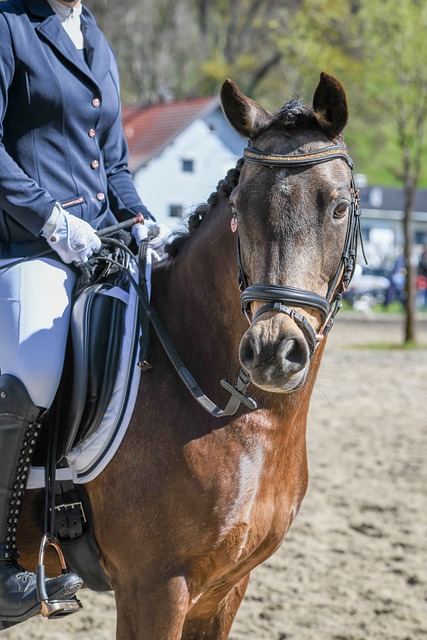 以其出色的 以其出色的