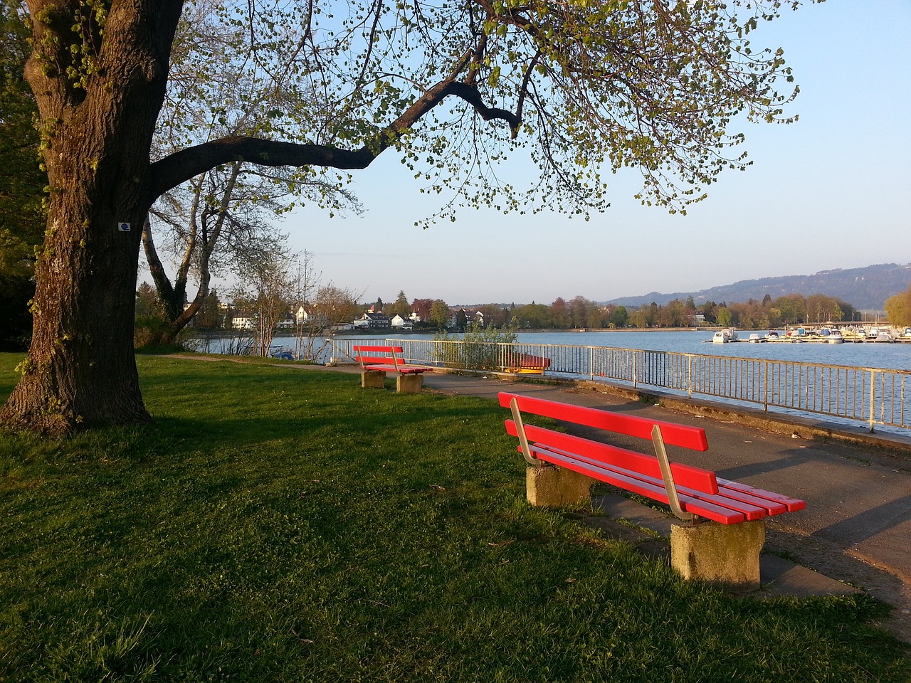 防範快速反 防範快速反