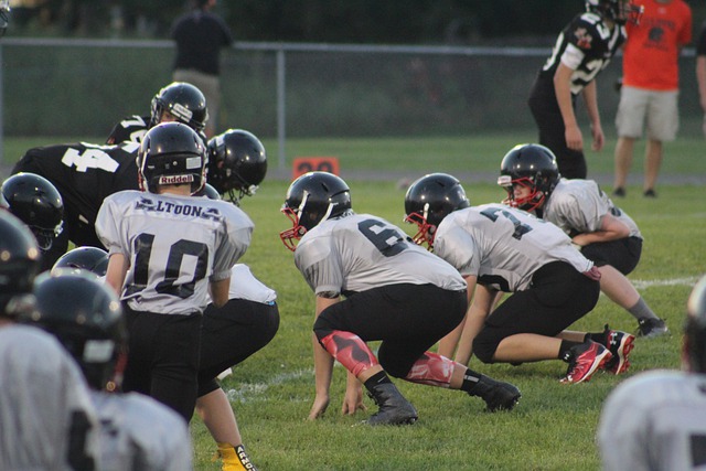 他们才能在 他们才能在