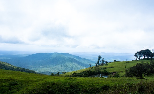 四连胜不仅 四连胜不仅